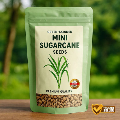 Green-Skinned Mini Sugarcane Seeds
