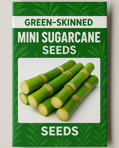 Green-Skinned Mini Sugarcane Seeds